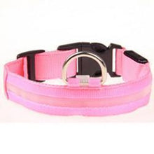 LED Dog Collar
