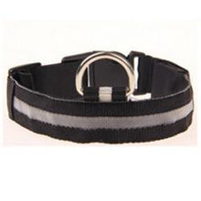 LED Dog Collar